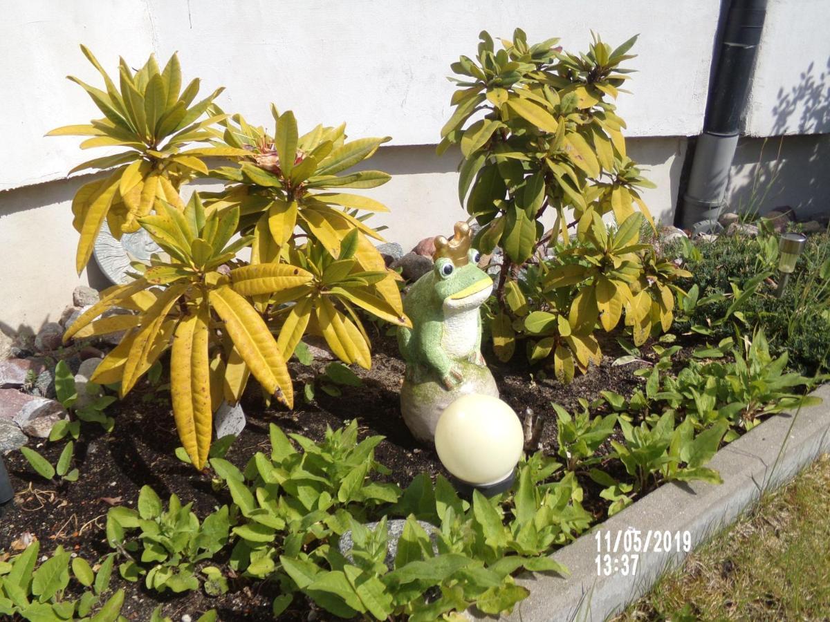 Villa Iwona グジボボ エクステリア 写真
